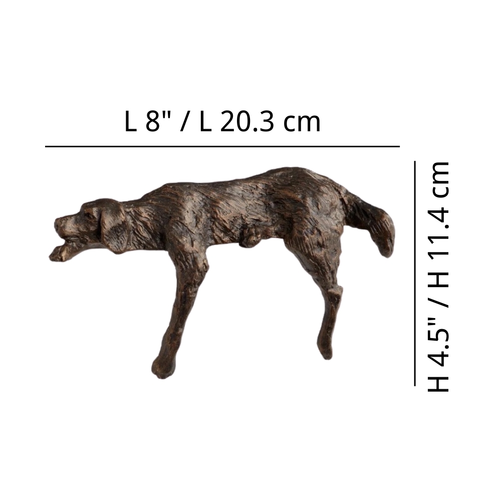 Información general sobre Floxo Figura A