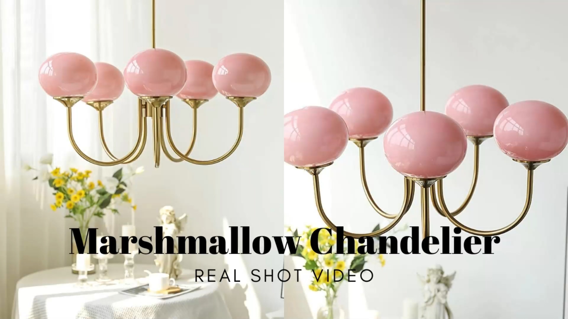 Real Shot-Video
