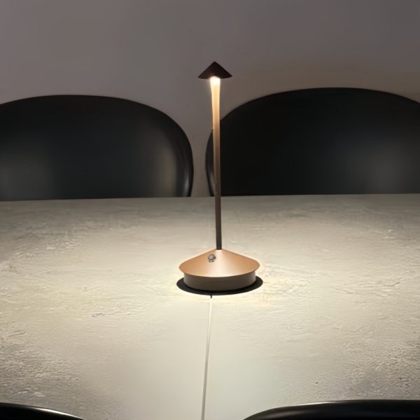 Käufershow Pina Tischleuchte